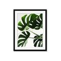 Picture of Green Palms _GroupedProduct_Rectangle_Portrait_Photography _GroupedProduct_Rectangle_Portrait_Framed_Matted_
