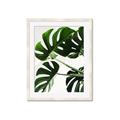 Picture of Green Palms _GroupedProduct_Rectangle_Portrait_Photography _GroupedProduct_Rectangle_Portrait_Framed_Matted_
