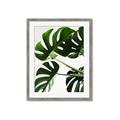 Picture of Green Palms _GroupedProduct_Rectangle_Portrait_Photography _GroupedProduct_Rectangle_Portrait_Framed_Matted_