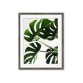 Picture of Green Palms _GroupedProduct_Rectangle_Portrait_Photography _GroupedProduct_Rectangle_Portrait_Framed_Matted_