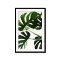 Picture of Green Palms _GroupedProduct_Rectangle_Portrait_Photography _GroupedProduct_Rectangle_Portrait_Framed_Matted_