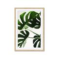 Picture of Green Palms _GroupedProduct_Rectangle_Portrait_Photography _GroupedProduct_Rectangle_Portrait_Framed_Matted_