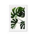 Picture of Green Palms _GroupedProduct_Rectangle_Portrait_Photography _GroupedProduct_Rectangle_Portrait_Framed_Matted_