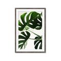 Picture of Green Palms _GroupedProduct_Rectangle_Portrait_Photography _GroupedProduct_Rectangle_Portrait_Framed_Matted_