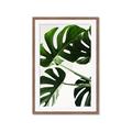 Picture of Green Palms _GroupedProduct_Rectangle_Portrait_Photography _GroupedProduct_Rectangle_Portrait_Framed_Matted_