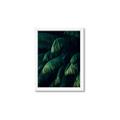 Picture of Greenleaf I _GroupedProduct_Rectangle_Portrait_Photography _GroupedProduct_Rectangle_Portrait_Framed_Matted_