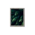 Picture of Greenleaf I _GroupedProduct_Rectangle_Portrait_Photography _GroupedProduct_Rectangle_Portrait_Framed_Matted_