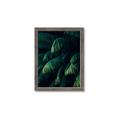Picture of Greenleaf I _GroupedProduct_Rectangle_Portrait_Photography _GroupedProduct_Rectangle_Portrait_Framed_Matted_