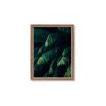 Picture of Greenleaf I _GroupedProduct_Rectangle_Portrait_Photography _GroupedProduct_Rectangle_Portrait_Framed_Matted_