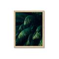 Picture of Greenleaf I _GroupedProduct_Rectangle_Portrait_Photography _GroupedProduct_Rectangle_Portrait_Framed_Matted_
