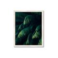 Picture of Greenleaf I _GroupedProduct_Rectangle_Portrait_Photography _GroupedProduct_Rectangle_Portrait_Framed_Matted_