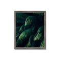 Picture of Greenleaf I _GroupedProduct_Rectangle_Portrait_Photography _GroupedProduct_Rectangle_Portrait_Framed_Matted_