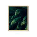 Picture of Greenleaf I _GroupedProduct_Rectangle_Portrait_Photography _GroupedProduct_Rectangle_Portrait_Framed_Matted_