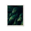 Picture of Greenleaf I _GroupedProduct_Rectangle_Portrait_Photography _GroupedProduct_Rectangle_Portrait_Framed_Matted_