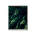 Picture of Greenleaf I _GroupedProduct_Rectangle_Portrait_Photography _GroupedProduct_Rectangle_Portrait_Framed_Matted_