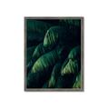 Picture of Greenleaf I _GroupedProduct_Rectangle_Portrait_Photography _GroupedProduct_Rectangle_Portrait_Framed_Matted_