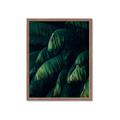 Picture of Greenleaf I _GroupedProduct_Rectangle_Portrait_Photography _GroupedProduct_Rectangle_Portrait_Framed_Matted_