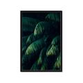 Picture of Greenleaf I _GroupedProduct_Rectangle_Portrait_Photography _GroupedProduct_Rectangle_Portrait_Framed_Matted_