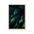 Picture of Greenleaf I _GroupedProduct_Rectangle_Portrait_Photography _GroupedProduct_Rectangle_Portrait_Framed_Matted_