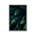 Picture of Greenleaf I _GroupedProduct_Rectangle_Portrait_Photography _GroupedProduct_Rectangle_Portrait_Framed_Matted_