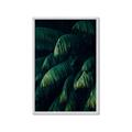 Picture of Greenleaf I _GroupedProduct_Rectangle_Portrait_Photography _GroupedProduct_Rectangle_Portrait_Framed_Matted_