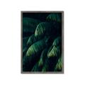 Picture of Greenleaf I _GroupedProduct_Rectangle_Portrait_Photography _GroupedProduct_Rectangle_Portrait_Framed_Matted_