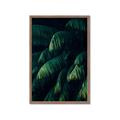 Picture of Greenleaf I _GroupedProduct_Rectangle_Portrait_Photography _GroupedProduct_Rectangle_Portrait_Framed_Matted_