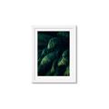 Picture of Greenleaf I _GroupedProduct_Rectangle_Portrait_Photography _GroupedProduct_Rectangle_Portrait_Framed_Matted_