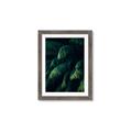 Picture of Greenleaf I _GroupedProduct_Rectangle_Portrait_Photography _GroupedProduct_Rectangle_Portrait_Framed_Matted_