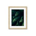 Picture of Greenleaf I _GroupedProduct_Rectangle_Portrait_Photography _GroupedProduct_Rectangle_Portrait_Framed_Matted_