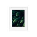Picture of Greenleaf I _GroupedProduct_Rectangle_Portrait_Photography _GroupedProduct_Rectangle_Portrait_Framed_Matted_