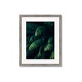 Picture of Greenleaf I _GroupedProduct_Rectangle_Portrait_Photography _GroupedProduct_Rectangle_Portrait_Framed_Matted_
