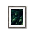 Picture of Greenleaf I _GroupedProduct_Rectangle_Portrait_Photography _GroupedProduct_Rectangle_Portrait_Framed_Matted_