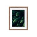 Picture of Greenleaf I _GroupedProduct_Rectangle_Portrait_Photography _GroupedProduct_Rectangle_Portrait_Framed_Matted_