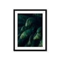 Picture of Greenleaf I _GroupedProduct_Rectangle_Portrait_Photography _GroupedProduct_Rectangle_Portrait_Framed_Matted_