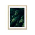 Picture of Greenleaf I _GroupedProduct_Rectangle_Portrait_Photography _GroupedProduct_Rectangle_Portrait_Framed_Matted_