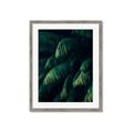 Picture of Greenleaf I _GroupedProduct_Rectangle_Portrait_Photography _GroupedProduct_Rectangle_Portrait_Framed_Matted_
