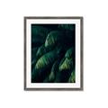 Picture of Greenleaf I _GroupedProduct_Rectangle_Portrait_Photography _GroupedProduct_Rectangle_Portrait_Framed_Matted_