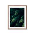 Picture of Greenleaf I _GroupedProduct_Rectangle_Portrait_Photography _GroupedProduct_Rectangle_Portrait_Framed_Matted_