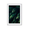 Picture of Greenleaf I _GroupedProduct_Rectangle_Portrait_Photography _GroupedProduct_Rectangle_Portrait_Framed_Matted_