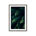 Picture of Greenleaf I _GroupedProduct_Rectangle_Portrait_Photography _GroupedProduct_Rectangle_Portrait_Framed_Matted_