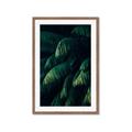 Picture of Greenleaf I _GroupedProduct_Rectangle_Portrait_Photography _GroupedProduct_Rectangle_Portrait_Framed_Matted_