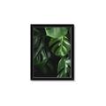 Picture of Greenleaf II _GroupedProduct_Rectangle_Portrait_Photography _GroupedProduct_Rectangle_Portrait_Framed_Matted_