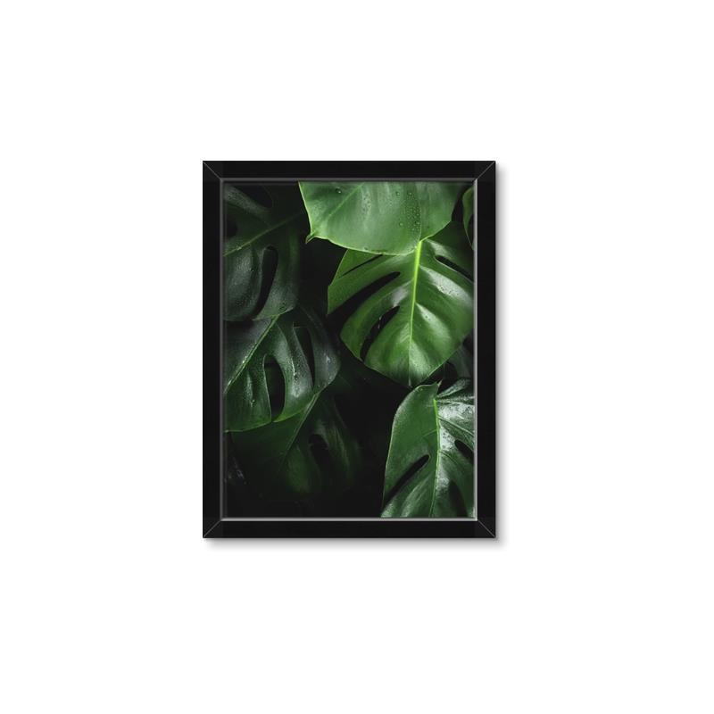 Picture of Greenleaf II _GroupedProduct_Rectangle_Portrait_Photography _GroupedProduct_Rectangle_Portrait_Framed_Matted_