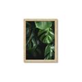 Picture of Greenleaf II _GroupedProduct_Rectangle_Portrait_Photography _GroupedProduct_Rectangle_Portrait_Framed_Matted_