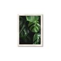Picture of Greenleaf II _GroupedProduct_Rectangle_Portrait_Photography _GroupedProduct_Rectangle_Portrait_Framed_Matted_