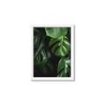 Picture of Greenleaf II _GroupedProduct_Rectangle_Portrait_Photography _GroupedProduct_Rectangle_Portrait_Framed_Matted_
