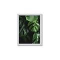 Picture of Greenleaf II _GroupedProduct_Rectangle_Portrait_Photography _GroupedProduct_Rectangle_Portrait_Framed_Matted_