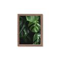 Picture of Greenleaf II _GroupedProduct_Rectangle_Portrait_Photography _GroupedProduct_Rectangle_Portrait_Framed_Matted_