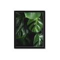 Picture of Greenleaf II _GroupedProduct_Rectangle_Portrait_Photography _GroupedProduct_Rectangle_Portrait_Framed_Matted_